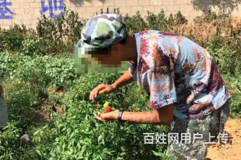 湖南青少年管教学校联系电话号码是多少 - 图片 1